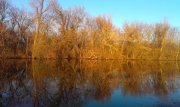 IMAG0270.jpg