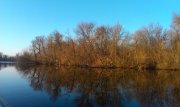 IMAG0272.jpg