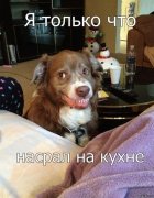 VhiNvd2lMtc.jpg