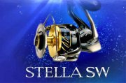 «13 Stella SW».jpg