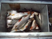 DSC05270.JPG