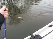 20130310_074806.jpg