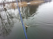 20130310_093512.jpg