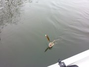 20130310_111030.jpg