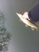 20130310_093644.jpg