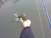 20130310_093654.jpg