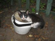 Изменение размера IMG_1083.jpg