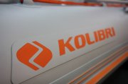 КОЛИБРИ. Логотип 2013.jpg