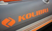 КОЛИБРИ. Логотип 2013-1.jpg