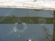 IMG_1473.JPG