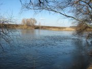 IMG_1485.JPG
