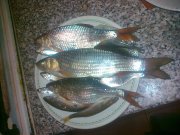 19032013232.jpg
