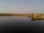 IMG_20130321_114146.jpg