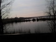 IMG_20130321_122227.jpg