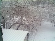 24032013632.jpg