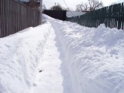 DSC05303.JPG