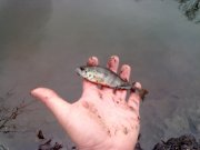 30032013708.jpg
