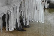 S1110015.jpg
