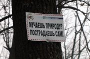 S1110061.jpg