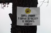 S1110069.jpg