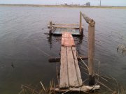 IMG_20130331_150822.jpg
