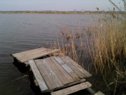 IMG_20130331_152027.jpg