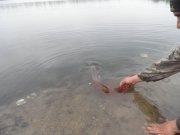 PB040705.JPG