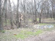 IMGP3975.JPG