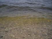 IMGP3978.JPG