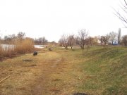 DSC08765.JPG