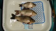 DSC04698.JPG