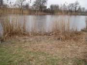 IMG_4295.JPG