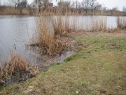 IMG_4298.JPG