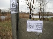 IMG_4303.JPG