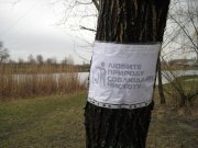 IMG_4304.JPG