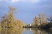 _DSC0440.JPG