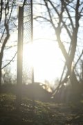 _DSC0460.JPG