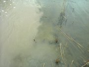 Фото0311.jpg