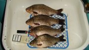 DSC04705.JPG