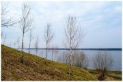 DSC_0001-1.jpg