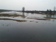 IMG0013B.jpg