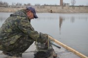 DSC_0331 (Копировать).JPG