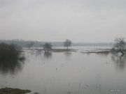 1-IMG_0007.JPG