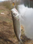 05-IMG_0046.JPG