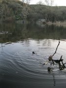 IMG_8845.JPG