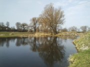 IMG0019A.jpg