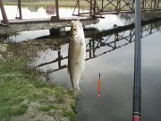 IMG0017A.jpg