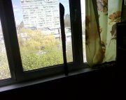 Photo-0003.jpg