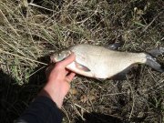 2013-04-21 17.37.18.jpg