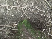 IMG_1539.JPG